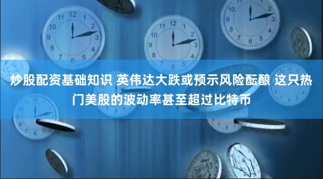 炒股配资基础知识 英伟达大跌或预示风险酝酿 这只热门美股的波动率甚至超过比特币