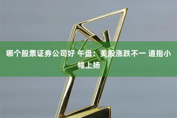 哪个股票证券公司好 午盘：美股涨跌不一 道指小幅上扬