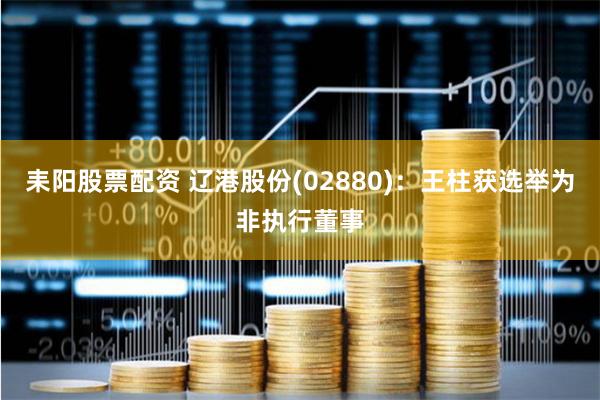 耒阳股票配资 辽港股份(02880)：王柱获选举为非执行董事